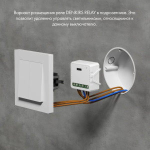 Wi-Fi реле Relay RL1004-DM
