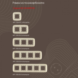 Переключатель am-205 205.34-1.shampan